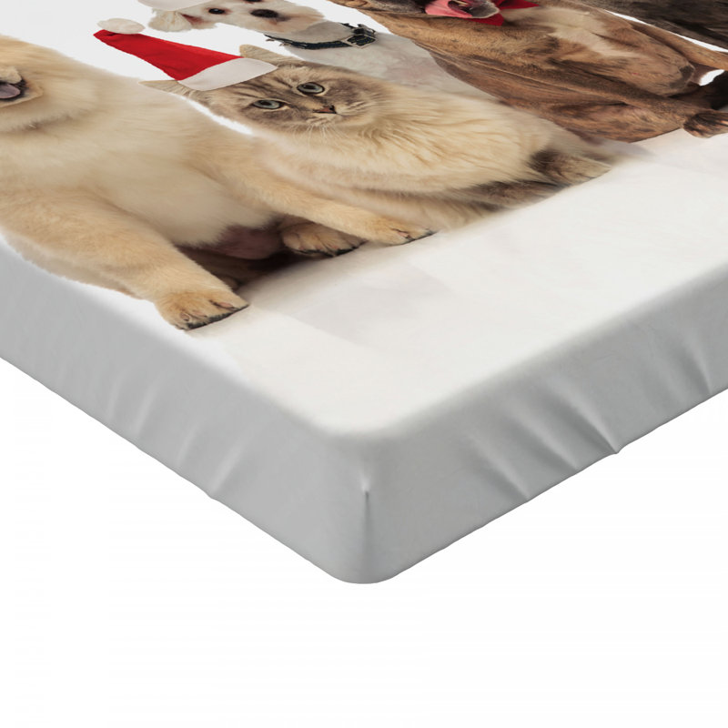 Microfiber Fitted Sheet, Full Fitted Sheet