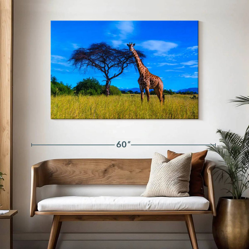 Ruaha National Park Giraffe