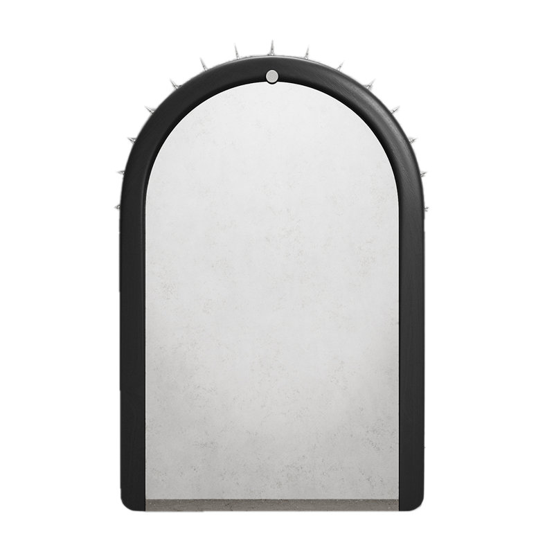 Sitiera Aged Solid Wood Mirror, Stainless Steel