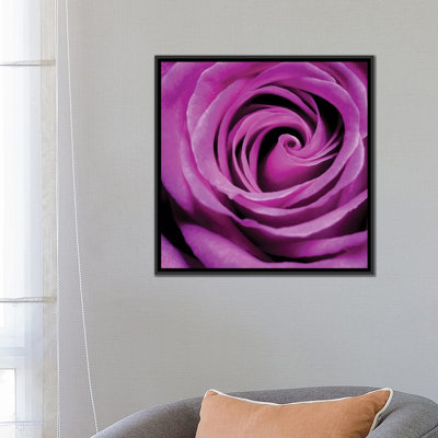 «Purple Rose» par PhotoINC Studio - Estampe numérique sur toile tendue avec châssis