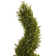 Rosemary Faux Cedar Topiary in Pot