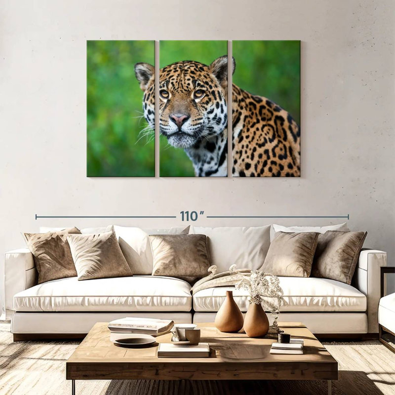 Jaguar Gaze