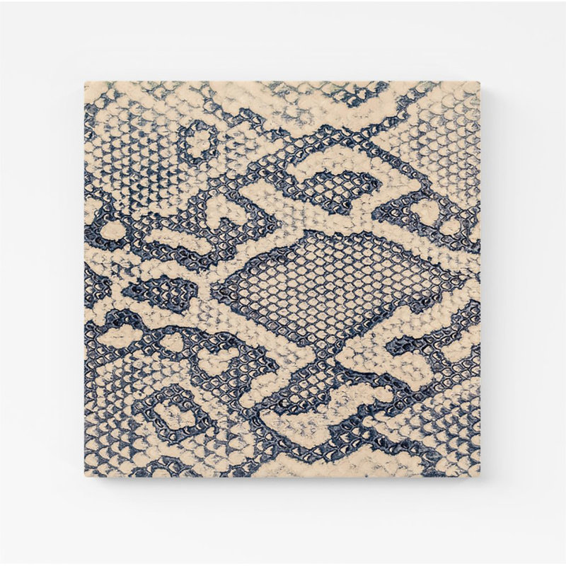 Snake Skin - Wrapped Canvas Print, 16cm H x 16cm W x 3.8cm D