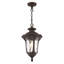 Luminaire suspendu d'extérieur Arelene-1127152961-1127152991