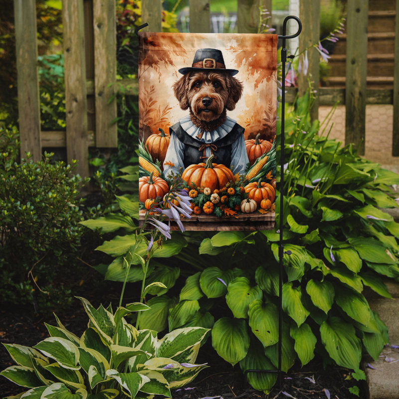 Drapeau du jardin de l'Action de grâce, Chocolat Labradoodle