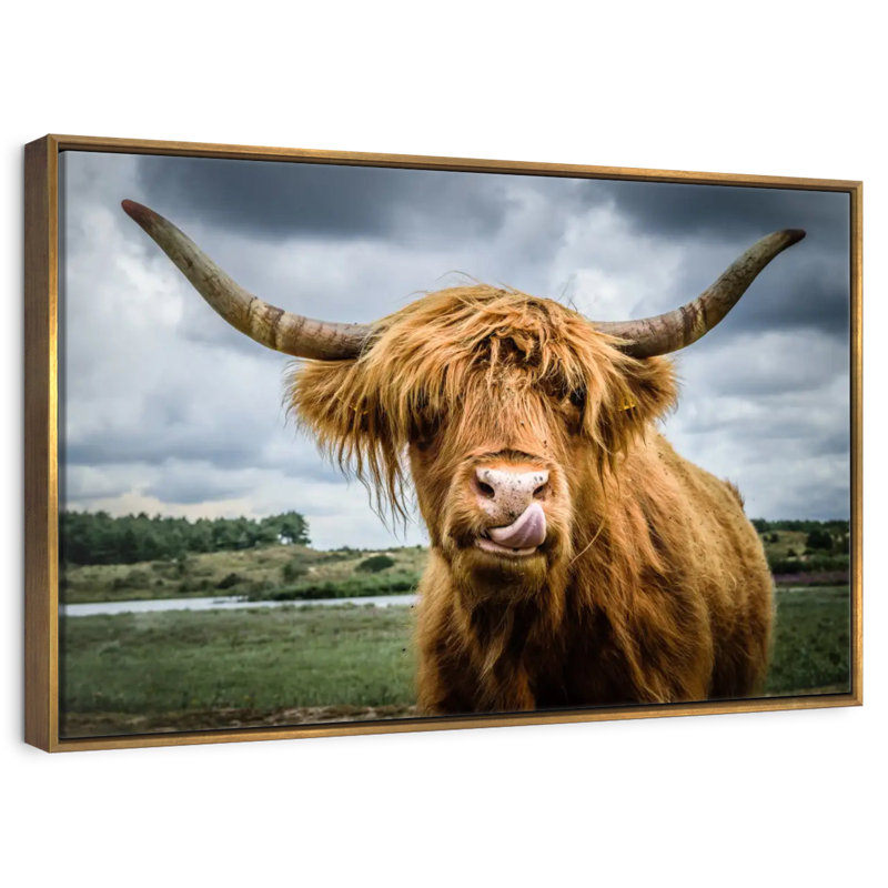 Silly Highland Cow, Cadre flottant doré, 31 po x 21 po