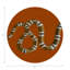 Serpent Blue Vegan Leather Round Coasters-1649097709