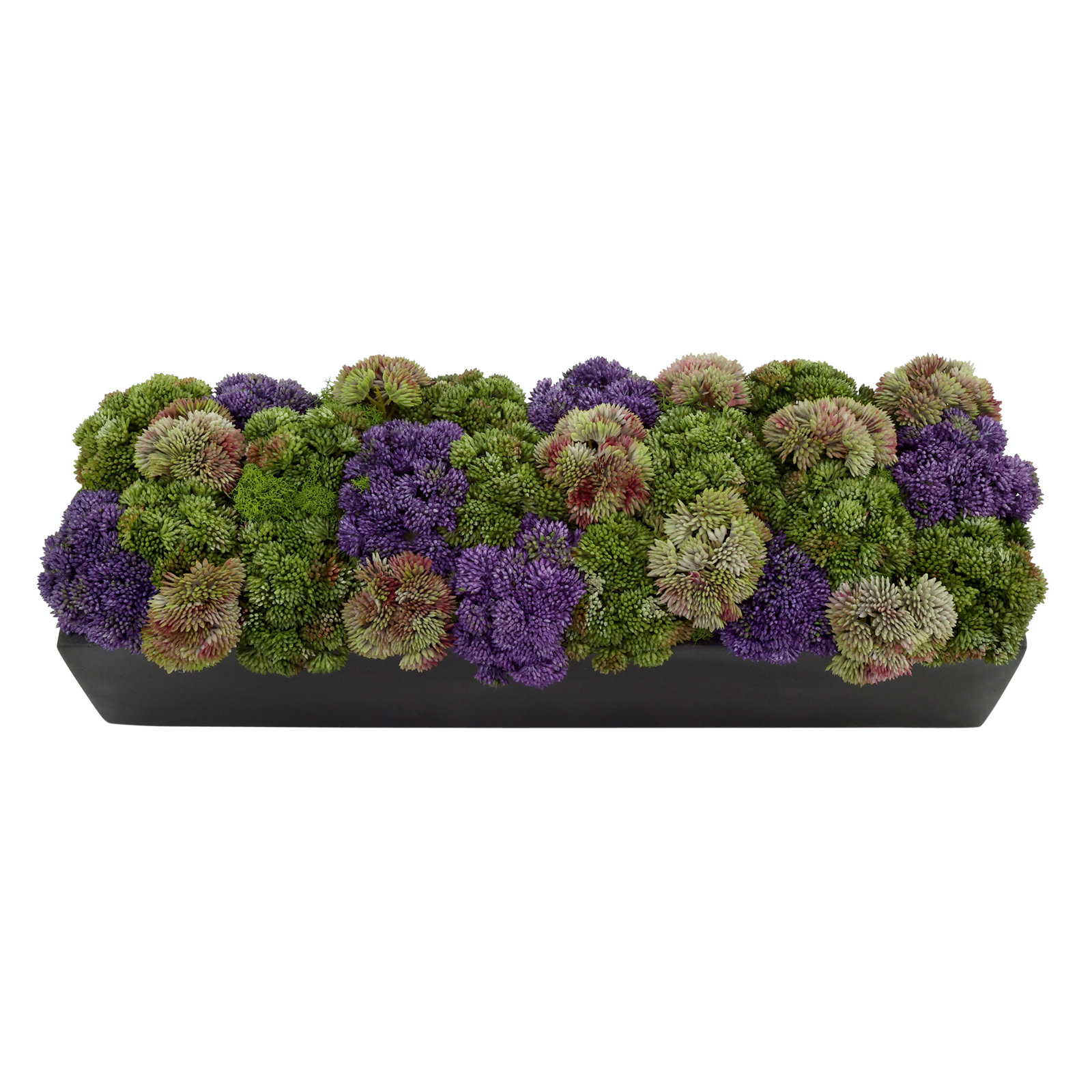 7'' Faux Succulent Plant in Fiberstone Planter, Rectangular, 7" H x 19" W x 6" D, Black