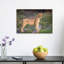 Golden Hour Lioness Abstract Contemporary Cat Lion Landscape Nature Wall Art Print by Jeffrey C. Sink - 1 Piece Wrapped Canvas Wall Art-680998673