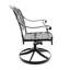 2 pièces Chaises de patio en aluminium coulé avec cadres et coussins noirs en couleurs aléatoires