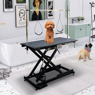 Professional Electric Grooming Table