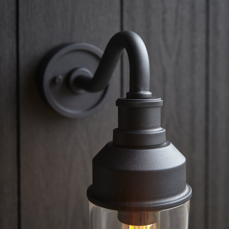 Kevelyn Brass Outdoor Barn Light, Black