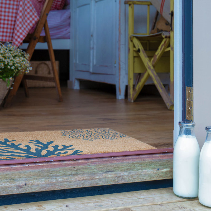 Aylin Non-Slip Indoor Doormat, Rectangle 40 x 60 cm