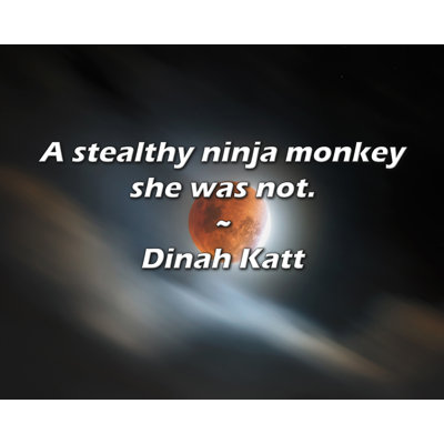 Dinah Katt Quote: A stealthy ninja monkey she was not.