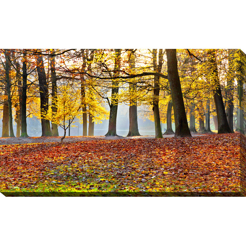 « forest path », reproduction de photo sur toile tendue, H 18 po x l 30 po x P 1 po