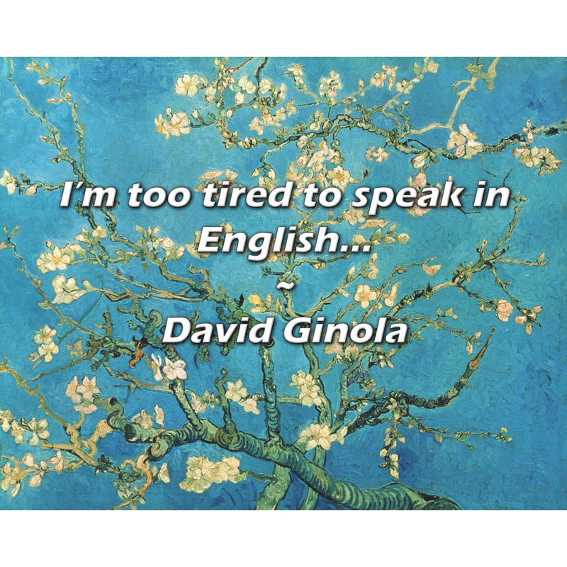 Arty Quote «I'm so fat to parle in English ...» par David Ginola, toile tendue avec châssis