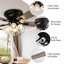 132.08 cm Ceiling Fan with Light Kit