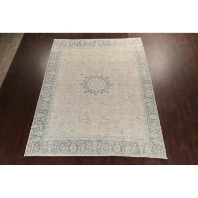 Muted Distressed  Traditional Area Rug 10x13