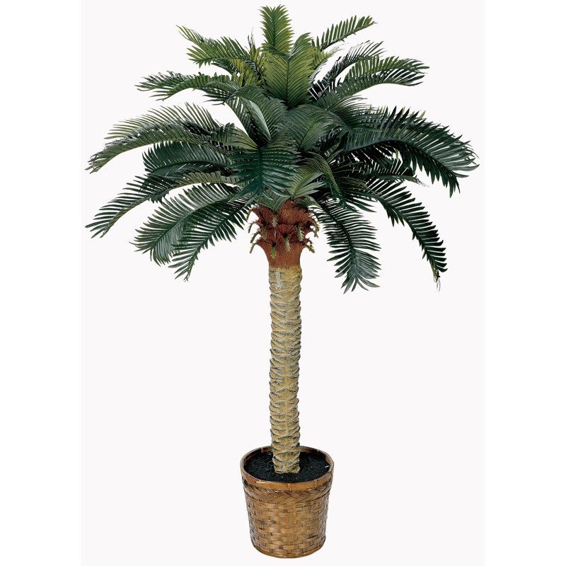 Faux Palm Tree in Wicker/Rattan Basket, 48" H