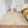 Eilidhmay Washable Indoor Rug