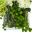 Hydrangeas, Orchids and Succulents Arranged in Glass Vase
