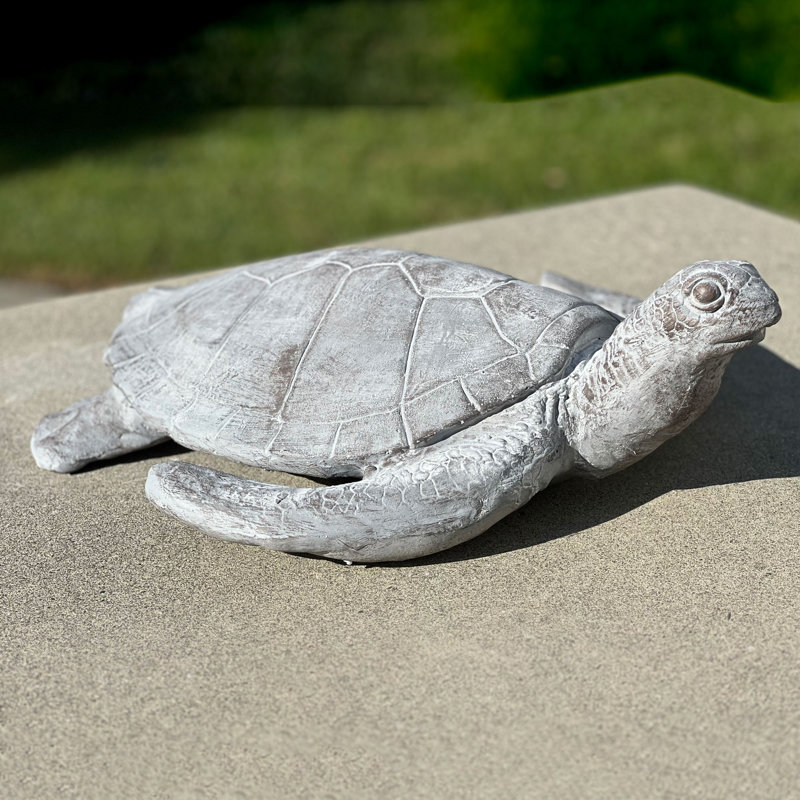 Décoration murale tortue