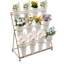 Taliea plant stand