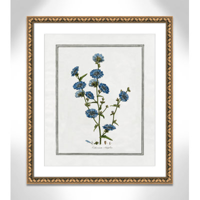 Soft Botanical I