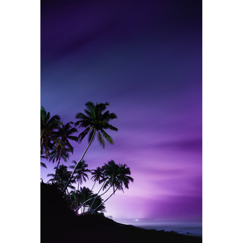 Palm Tree Silhouettes by Myshkovsky - Wrapped Canvas Print, 122cm H x 81cm W