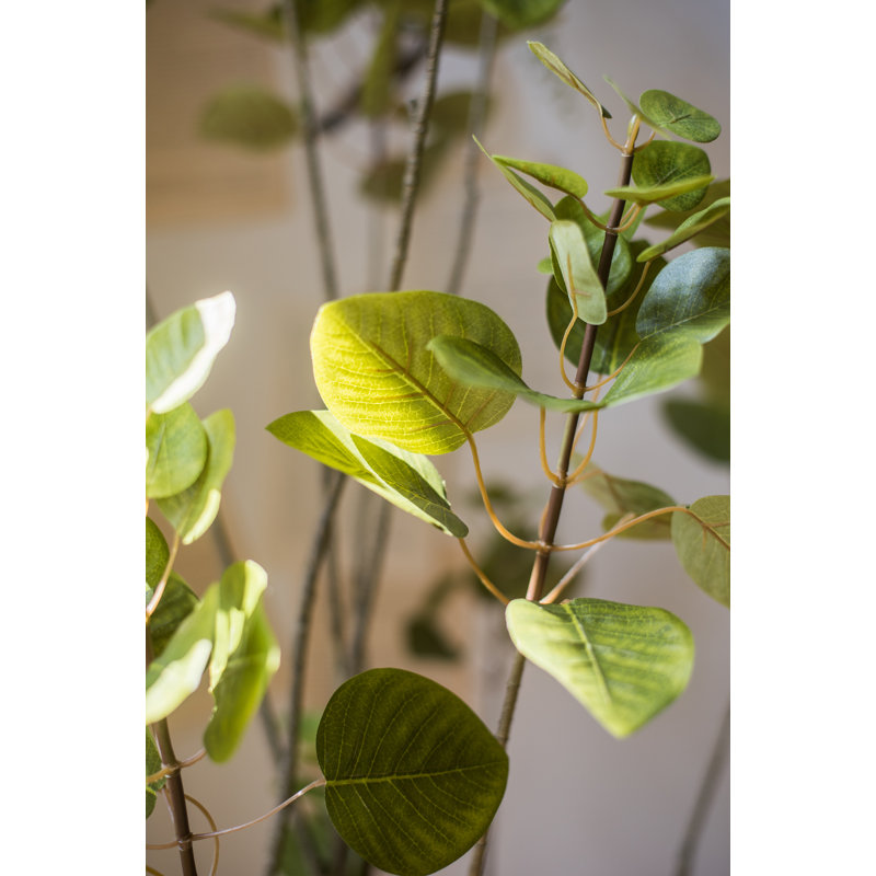 Arbre de bauhinia artificiel, Vert, H 70,9 po x L 27,6 po x P 19,7 po