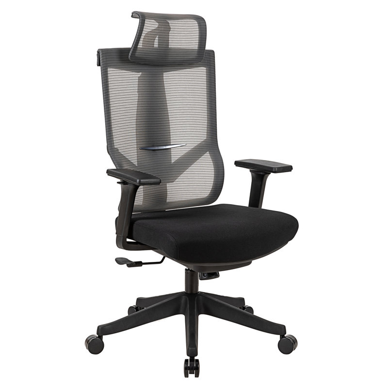 Kristijo Mesh Task Chair with Headrest