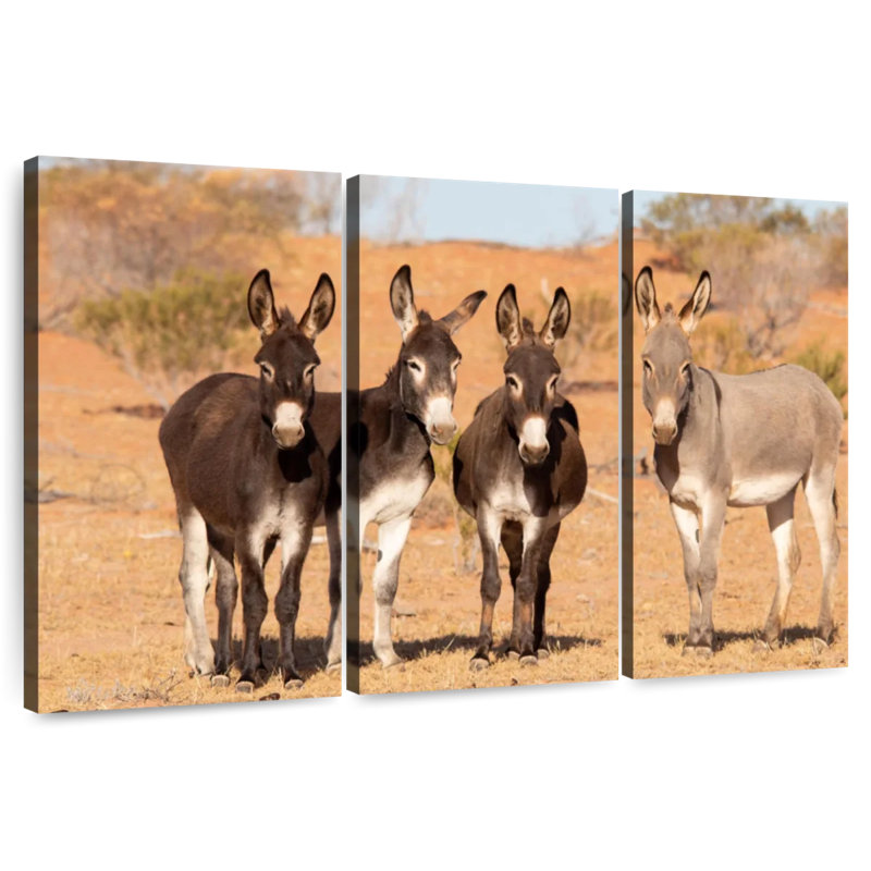 Brampt Australian Outback Donkeys, 28" H x 45" W