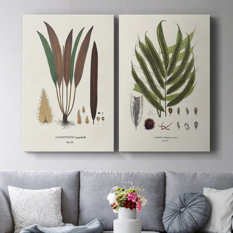 «Botanical Society Ferns I», toile tendue avec châssis - Prêt à accrocher, H 18 po x l 24 po