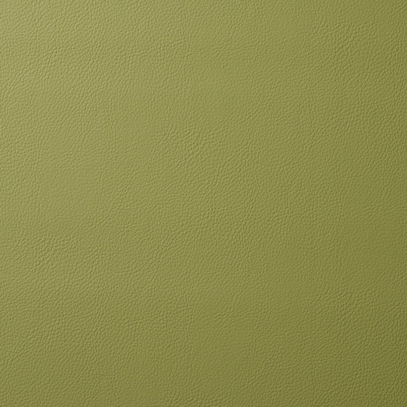 Vegan Leather Indoor/Outdoor Fabric, Moss