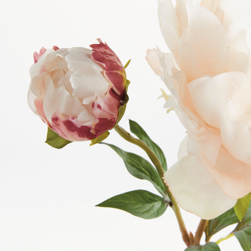 21-Inch Peony Stem, Light Coral