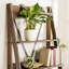 Perseus 79cm W Ladder Bookcase-1653274198