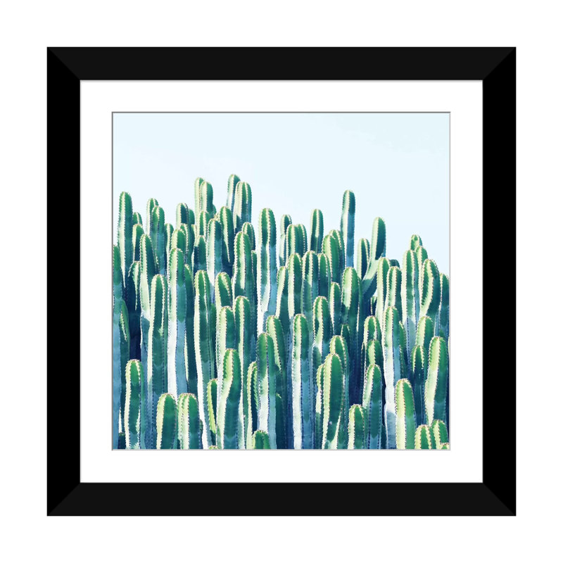 «Cactus Plants», impression sur toile, H 16 po x l 16 po x P 1 po, Papier d'art encadré noir