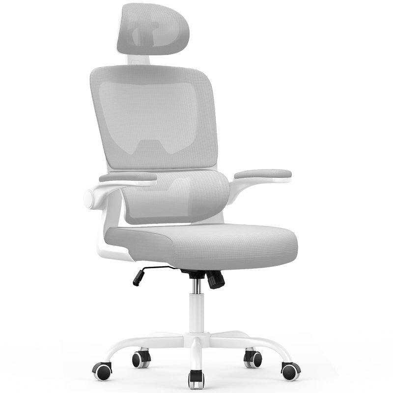 Motonobu Ergonomic Office Chair with Mesh Lumbar Support, Grey, White