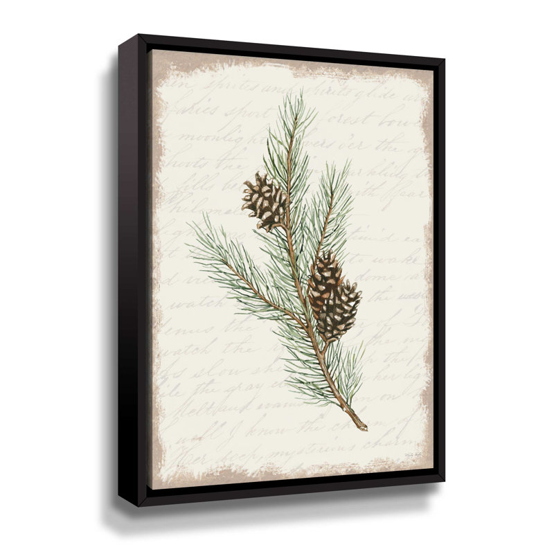 Pine Cone Botanical II Gallery, Cadre flottant noir, H 24 po x l 18 po