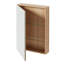 17'' W Mirrored Medicine Cabinet-1757814678