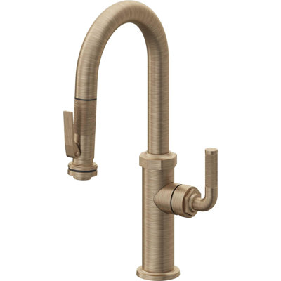 Descanso Kitchen Pull-Down Prep/Bar Faucet with Squeeze Sprayer