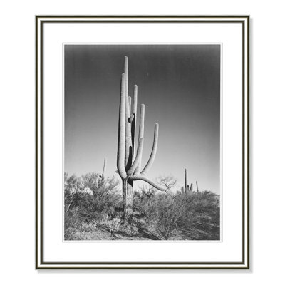 Saguaro National Monument Print by Ansel Adams
