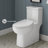 Classe One-Piece Toilet-63694534-44637970