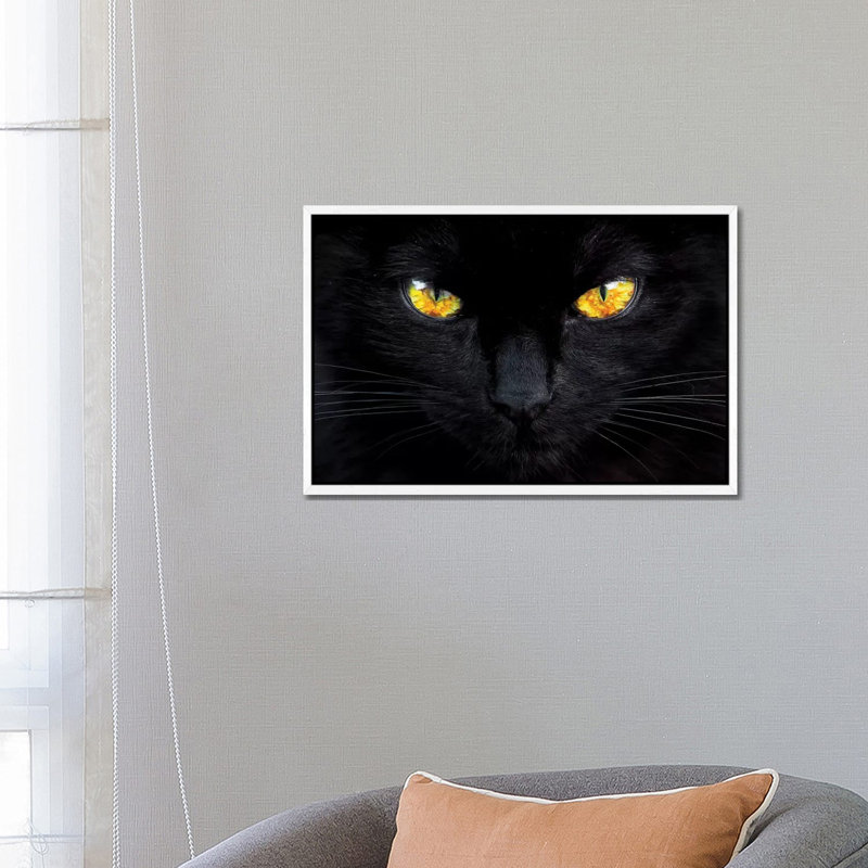 The Hypnotist of the Night 1 Piece Wall Art on Canvas, 66.04 cm H x 45.72 cm W, White Framed