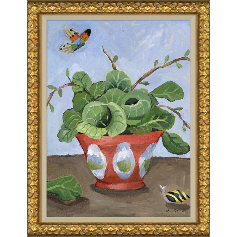 Cabbage in Coral Cachepot