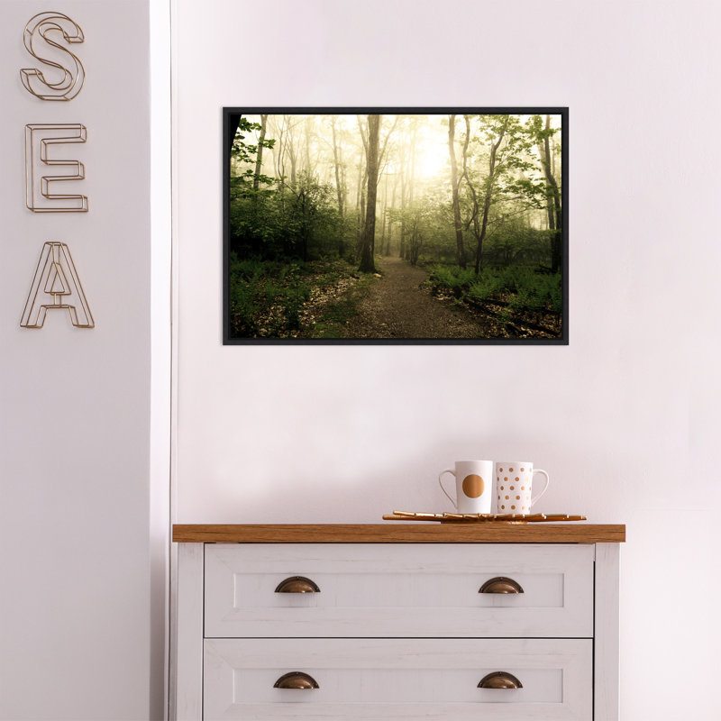 «Appalachian Trail» par Andy Magee, reproduction sur toile, Cadre noir