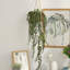 27.6'' Faux Topiary in Wicker/Rattan Basket