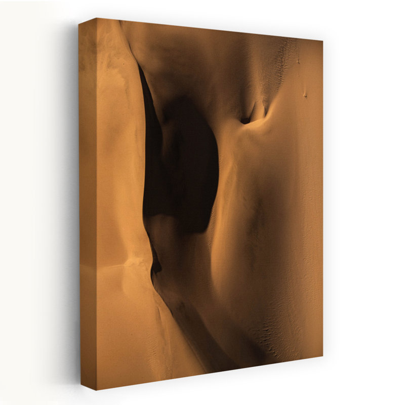 «Golden Desert Forms Abstract Organic Contemporary Landscape Nature», reproduction d'art murale, 60" H x 40" W