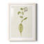 Mauve Garden Flowers IV - peinture encadrée-1603330262-1603330286