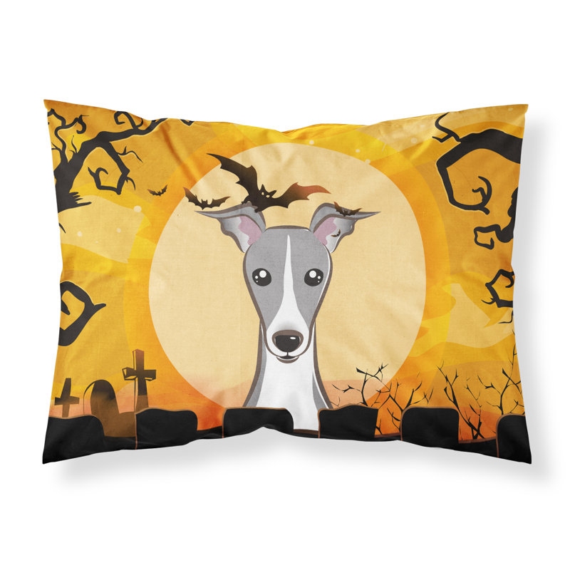  Taie d'oreiller Halloween Schnauzer, Lévrier italien